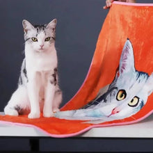 Load image into Gallery viewer, Pet Blanket(宠物毯子)(新增礼盒弹窗)
