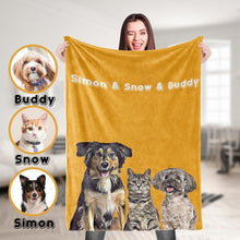 Load image into Gallery viewer, Pet Blanket(宠物毯子)
